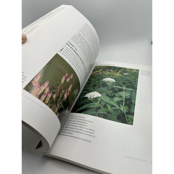 Garden Perennials for the Coastal South by Barbara J. Sullivan (2003, Trade... - Picture 7 of 10